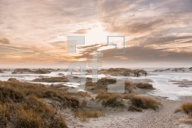 NN29_Amrum10_1300.jpg