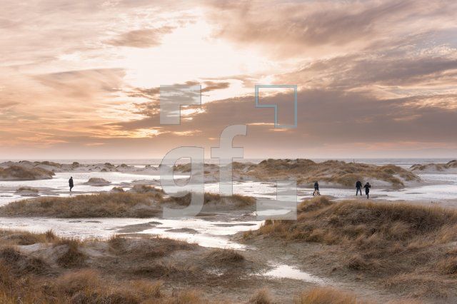 NN29_Amrum11_1300.jpg