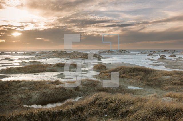 NN29_Amrum12_1300.jpg