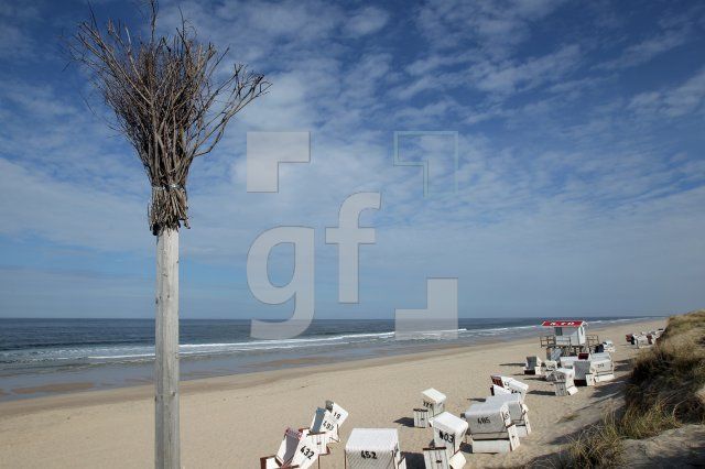 OG16_Sylt12_0172.JPG