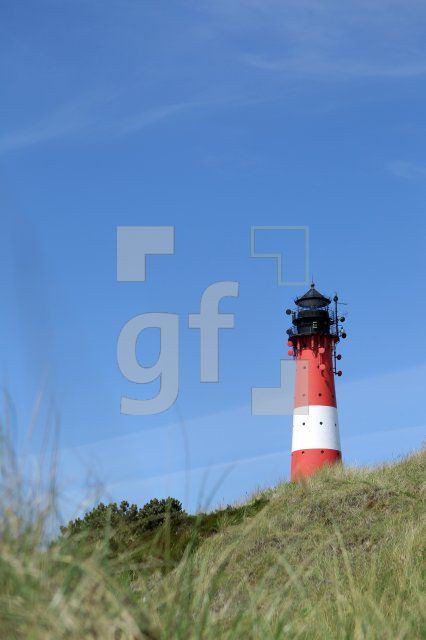 OH04_Leucht14_0187.JPG
