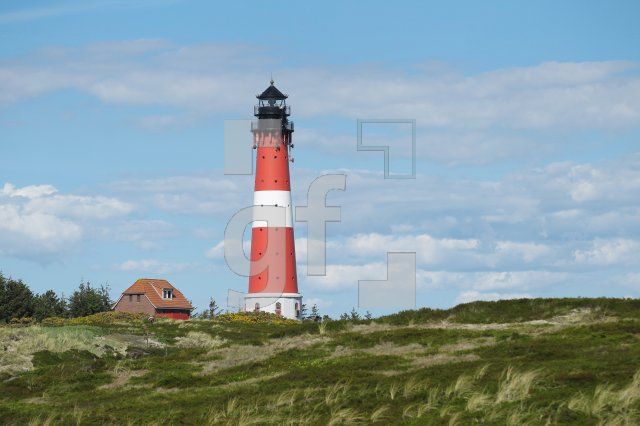 OH04_Leucht26_0169.JPG