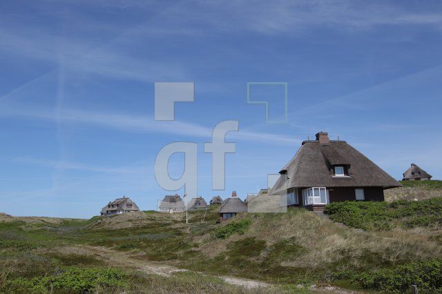 OH04_Reet34_0102.JPG