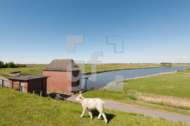 OH05_Hatt12_1300.jpg