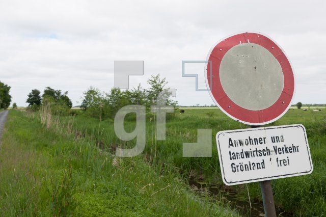 OH09_Gott01_1300.jpg