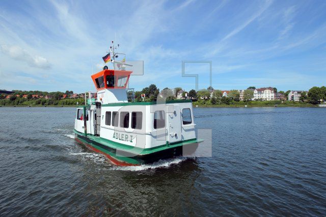 OH10_Adler01_0108.JPG