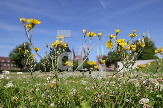 OH18_Luebeck26_0184.JPG