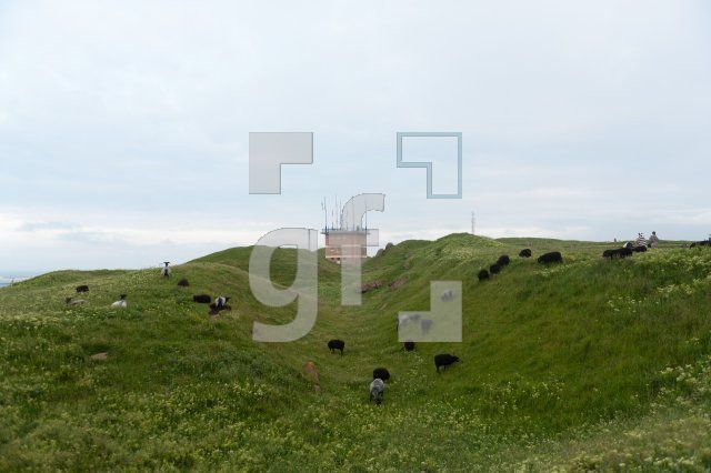 OH24_Helgo06_1300.jpg