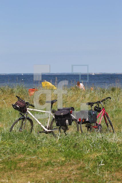 OI23_Strand02_2018.JPG
