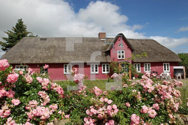 OJ06_Amrum34_0117.JPG