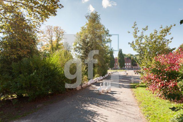 OL02_Gaarz03_1300.jpg