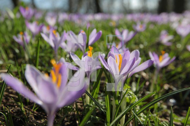PE09_Kro11_0166.JPG