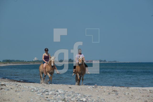 PH04_Ru32_0718.jpg