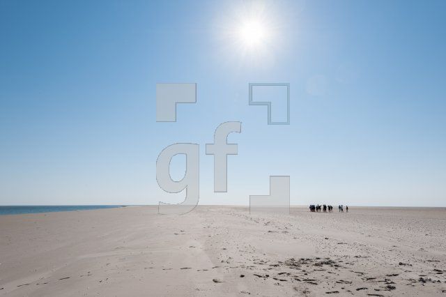 PI10_Pell07_1356.jpg