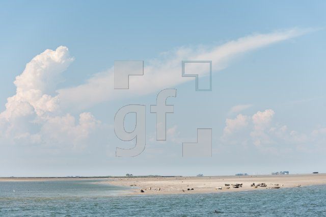 PI10_Pell10_1387.jpg