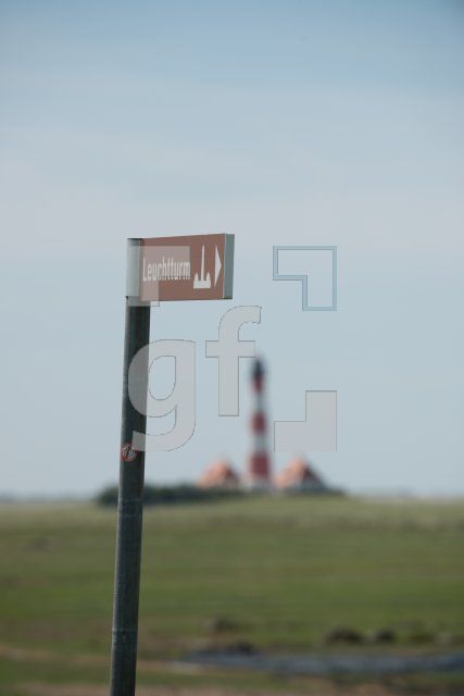 PI22_Ru03_0719.jpg