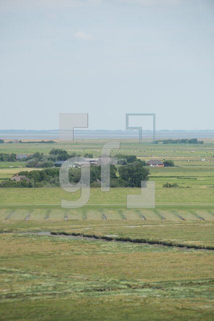 PI22_Ru06_0795.jpg