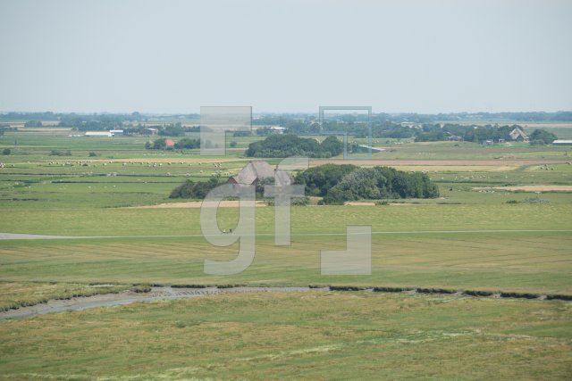 PI22_Ru07_0793.jpg