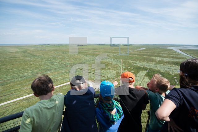 PI22_Ru10_0731.jpg