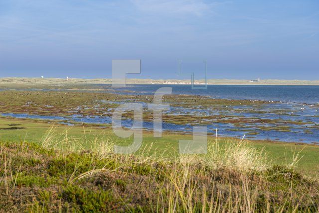 PL04_Sylt09_1357.jpg