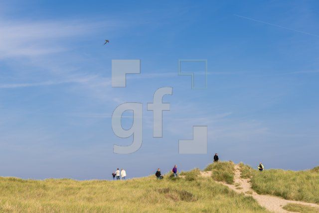 PL04_Sylt19_1394.jpg