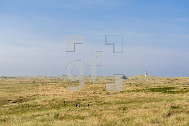 PL04_Sylt43_1377.jpg
