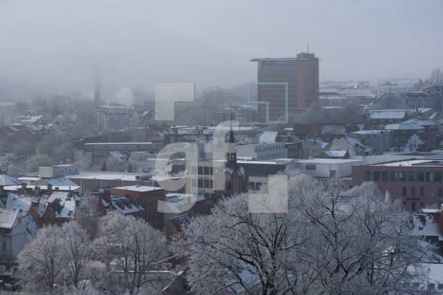 QC31_Fl04_0787.jpg