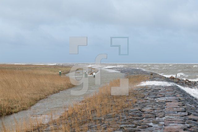 QE30_Ho03_1300.jpg