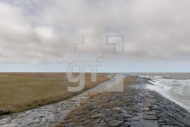 QE30_Ho04_1300.jpg