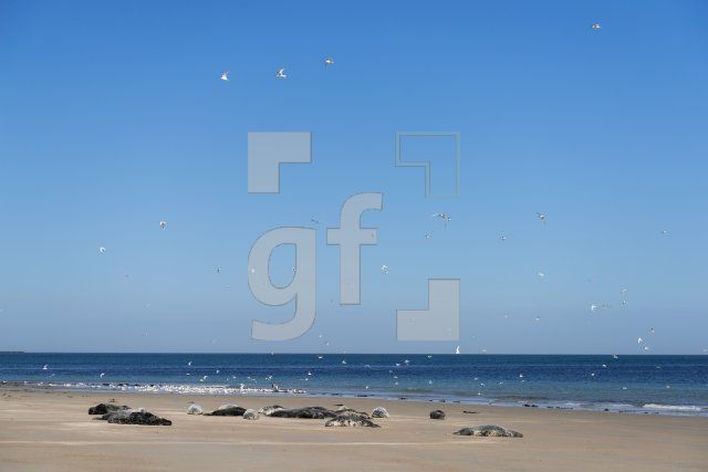 QG07_Hel120_1300.jpg