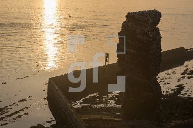QG07_Hel164_1300.jpg