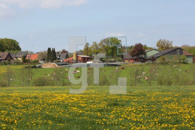 QG08_Dorf03_0135.JPG
