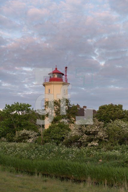 QH08_Fe04_1300.jpg