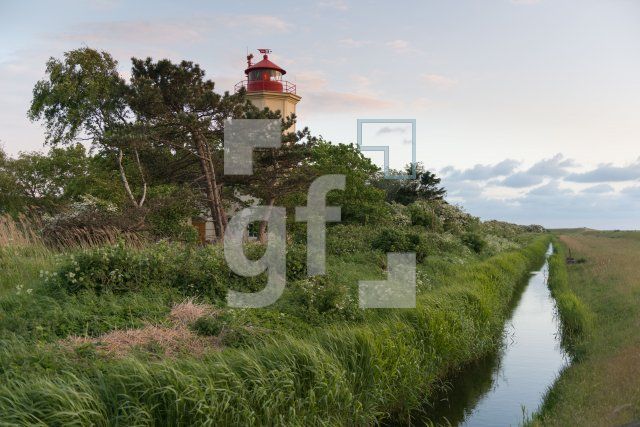 QH08_Fe05_1300.jpg