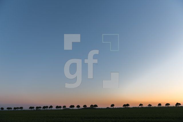 QH09_Fe01_1300.jpg