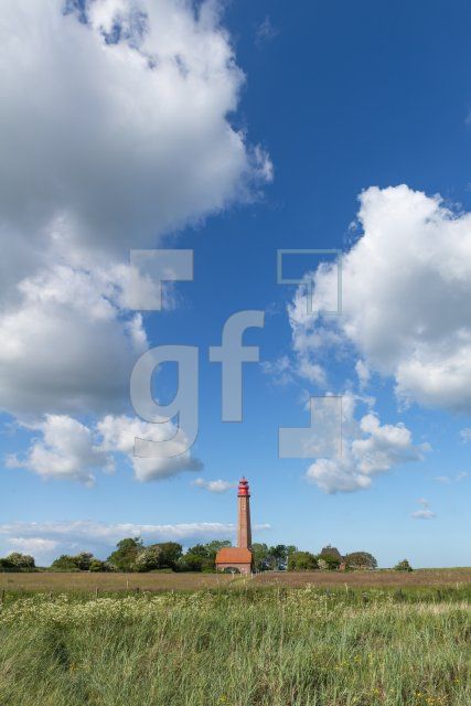 QH09_Fe24_1300.jpg