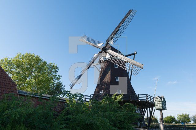 QH10_Fe18_1300.jpg