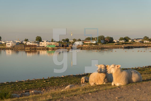QH11_Fe06_1300.jpg