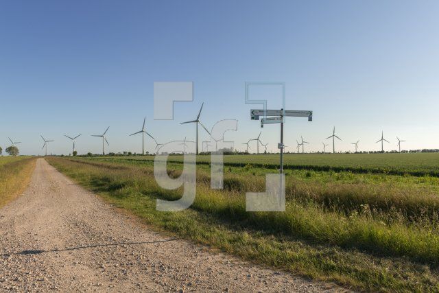 QH11_Fe17_1300.jpg