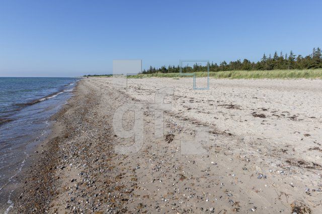 QH11_Fe20_1300.jpg