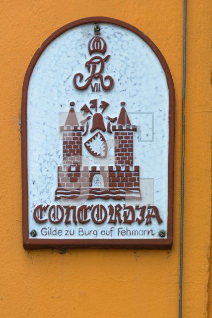 QH11_Fe41_1300.jpg