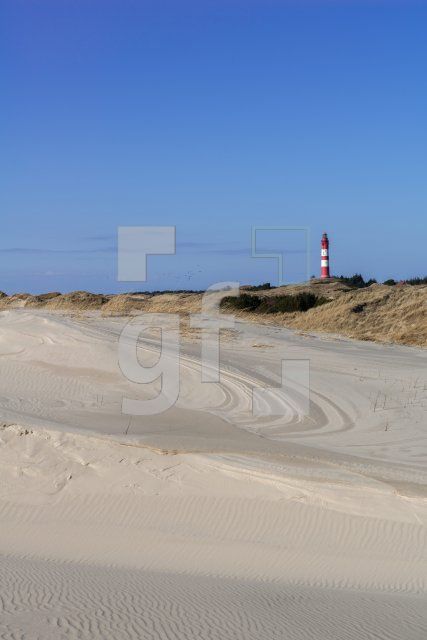 RD19_Am20_1300.jpg