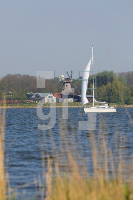 RG10_Sch11_0177.JPG