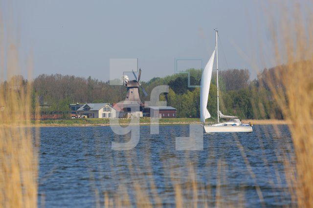 RG10_Sch12_0172.JPG