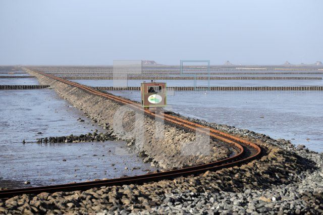 SE15_Nm04_0139.JPG