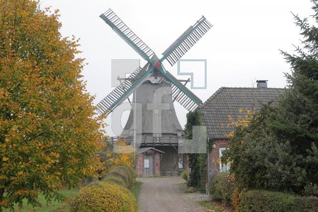 TM06_So02_0142.JPG
