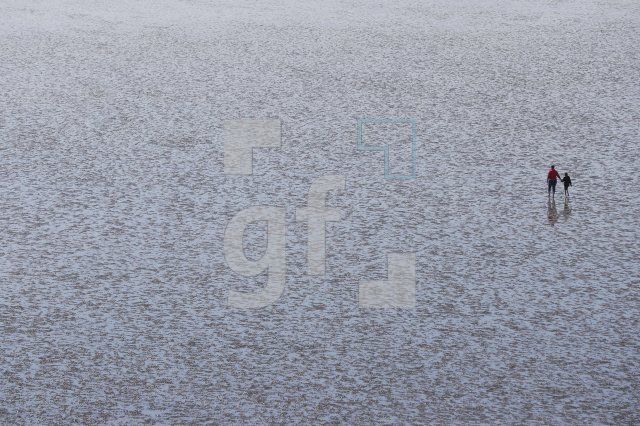 UF17_No12_0116.JPG
