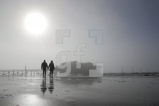 WD28_Sp06_0167.JPG