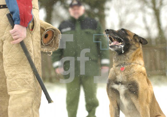GD23_Polizeihund1_0119.jpg