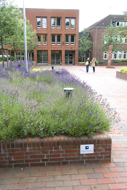 II05_Innen01_0173.jpg